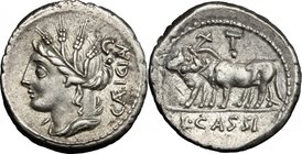 L. Cassius Caecianus. AR Denarius, 102 BC. D/ Draped bust of Ceres left, wearing barley-wreath; behind, CAEICIAN and C and dot. R/ Yoke of oxen; above...