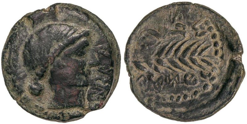 CELTIBERIAN COINS
As. 120-20 a.C. ABRA (Zona de PORCUNA, Jaén). Anv.: Cabeza fe...