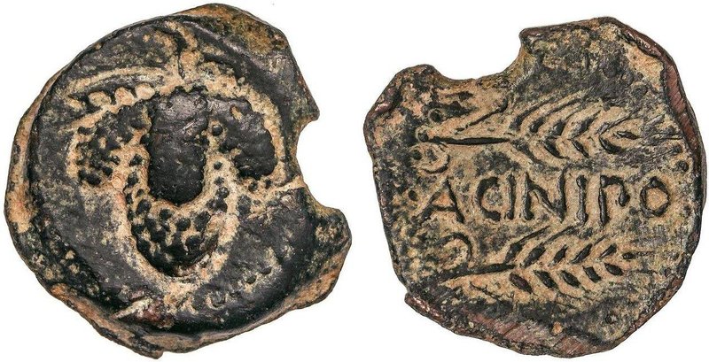 CELTIBERIAN COINS
As. 100-50 a.C. ACINIPO (RONDA, Málaga). Anv.: Racimo de uvas...