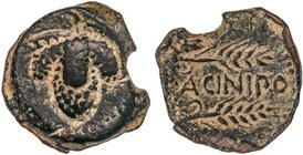 CELTIBERIAN COINS
As. 100-50 a.C. ACINIPO (RONDA, Málaga). Anv.: Racimo de uvas. Rev.: Dos espigas a derecha, entre ambas ACINIPO. 9,30 grs. AE. Páti...