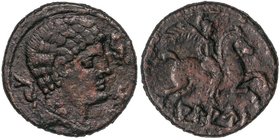 CELTIBERIAN COINS
As. 120-80 a.C. ALAUN (ALAGÓN, Zaragoza). Anv.: Cabeza masculina a derecha, rodeada por tres delfines. Rev.: Jinete con palma a der...
