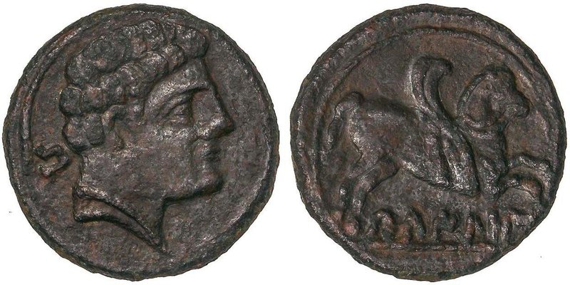CELTIBERIAN COINS
Semis. 120-20 a.C. BELIGIOM (BELCHITE, Zaragoza). Anv.: Cabez...