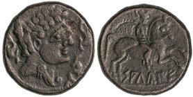CELTIBERIAN COINS
As. 120-30 a.C. SALDUIE (ZARAGOZA). Anv.: Cabeza masculina a derecha, rodeada por tres delfines. Rev.: Jinete con palma y clámide a...