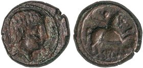 CELTIBERIAN COINS
Semis. 120-30 a.C. SALDUIE (ZARAGOZA). Anv.: Cabeza masculina a derecha, rodeada por tres delfines. Rev.: Caballo galopando a derec...