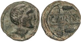 CELTIBERIAN COINS
Semis. 80 a.C. CARMO (CARMONA, Sevilla). Anv.: Cabeza masculina a derecha. Rev.: Dos espigas a derecha, entre ambas CARM(O). 10,30 ...