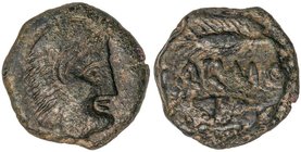 CELTIBERIAN COINS
As. 80 a.C. CARMO (CARMONA, Sevilla). Anv.: Cabeza de Hércules con piel de león a derecha. Rev.: Dos espigas a izquierda, entre ell...