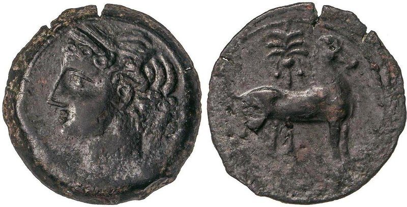 CELTIBERIAN COINS
Calco. 220-215 a.C. ACUÑACIONES HISPANO-CARTAGINESAS. Anv.: C...