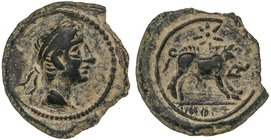 CELTIBERIAN COINS
Cuadrante. 180 a.C. CASTULO (CAZLONA, Jaén). Anv.: Cabeza masculina diademada a derecha. Rev.: Jabalí a derecha, encima estrella, d...