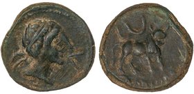 CELTIBERIAN COINS
Semis. 180 a.C. CASTULO (CAZLONA, Jaén). Anv.: Cabeza masculina diademada a derecha, delante signo ibérico Ca. Rev.: Toro a derecha...
