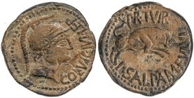 CELTIBERIAN COINS
As. 50-30 a.C. CELSE (VELILLA DE EBRO, Zaragoza). Anv.: COL. VIC. IVL. LEP. Cabeza masculina con casco a derecha. Rev.: PR. II VIR....