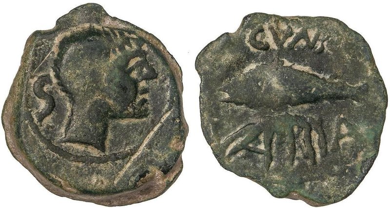 CELTIBERIAN COINS
Semis. 50 a.C. CUNBARIA (Entre LAS CABEZAS DE SAN JUAN y LEBR...