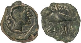 CELTIBERIAN COINS
Semis. 50 a.C. CUNBARIA (Entre LAS CABEZAS DE SAN JUAN y LEBRIJA, Sevilla). Anv.: Cabeza masculina a derecha, detrás S. Rev.: Atún ...