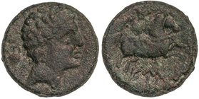 CELTIBERIAN COINS
As. 120-20 a.C. EUSTI (Zona de CATALUNYA). Anv.: Cabeza masculina a derecha, detrás ánfora. Rev.: Jinete con palma a derecha, debaj...