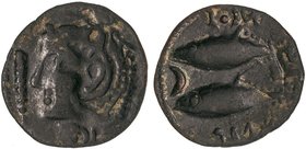 CELTIBERIAN COINS
Semis. 100-20 a.C. GADES (CÁDIZ). Anv.: Cabeza de Hércules con piel de león a izquierda, delante clava. Rev.: Dos atunes a izquierd...