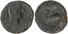 CELTIBERIAN COINS
As. 120-20 a.C. ICALCUNSCEN (INIESTA, Cuenca). Anv.: Cabeza masculina a derecha, detrás delfín, delante caduceo. Rev.: Jinete con l...