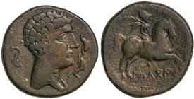 CELTIBERIAN COINS
As. 120-20 a.C. ILDUCOITE (Zona de CATALUNYA). Anv.: Cabeza masculina a derecha, rodeada por tres delfines. Rev.: Jiinete con palma...
