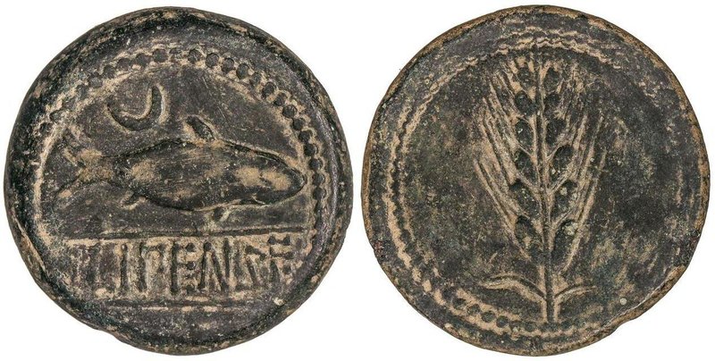 CELTIBERIAN COINS
As. 120-20 a.C. ILIPENSE (ALCALÁ DEL RÍO, Sevilla). Anv.: Sáb...
