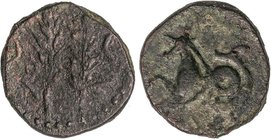 CELTIBERIAN COINS
Semis. 150-50 a.C. KETOVION (ALCÁCER DO SAL, PORTUGAL). Anv.: Dos espigas, a sus lados crecientes. Rev.: Hipocampo a izquierda. 8 g...