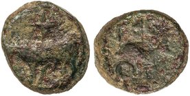 CELTIBERIAN COINS
Semis. 50-20 a.C. LACIPO (CASARES, Málaga). Anv.: Toro a izquierda, encima cruz. Rev.: Delfín a izquierda, a su alrededor leyenda r...
