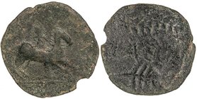 CELTIBERIAN COINS
As. 50-20 a.C. LAELIA (OLIVARES, Sevilla). Anv.: Jinete a derecha. Rev.: Espiga y palma a derecha, entre ambas LAELIA. 7,60 grs. AE...