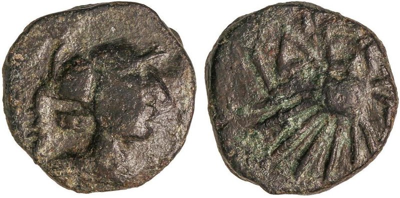 CELTIBERIAN COINS
Semis. 50-20 a.C. LAELIA (OLIVARES, Sevilla). Anv.: Cabeza co...