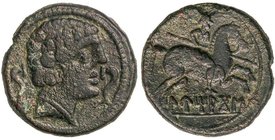 CELTIBERIAN COINS
As. 120-20 a.C. LUTIACOS (LUZAGA, Guadalajara). Anv.: Cabeza masculina a derecha, entre dos dellfines. Rev.: Jinete con lanza a der...