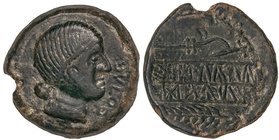 CELTIBERIAN COINS
As. 220-20 a.C. OBULCO (PORCUNA, Jaén). Anv.: Cabeza femenina a derecha, delante OBVLCO. Rev.: Arriba arado, debajo espiga, en medi...