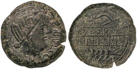 CELTIBERIAN COINS
As. 220-20 a.C. OBULCO (PORCUNA, Jaén). Anv.: Cabeza femenina a derecha, delante OBVLCO. Rev.: Arago a izquierda, debajo espiga a i...