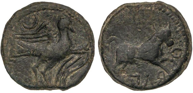 CELTIBERIAN COINS
Semis. 220-20 a.C. OBULCO (PORCUNA, Jaén). Anv.: Águila a der...