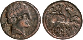 CELTIBERIAN COINS
As. 120-20 a.C. OILAUNES (Zona NORTE DEL EBRO). Anv.: Cabeza masculina a derecha, detrás signo ibérico O. Rev.: Jinete con hoz de g...