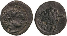 CELTIBERIAN COINS
Semis. 50-20 a.C. OLONTIGI (AZNALCÁZAR, Sevilla). Anv.: Cabeza masculina a derecha. Rev.: Piña a izquierda, debajo OLVNT. 4,60 grs....