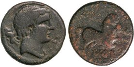 CELTIBERIAN COINS
Semis. 120-20 a.C. ORE (Zona de CATALUNYA). Anv.: Cabeza masculina a derecha, detrás toro. Rev.: Caballo galopando a derecha, debaj...