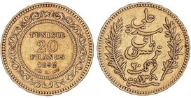 WORLD COINS: TUNISIA
20 Francos. 1309 dH / 1892-A. PARÍS. 6,43 grs. AU. Protectorado francés. Fr-12; KM-227. MBC+.