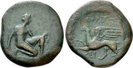TAURIC CHERSONESOS. Chersonesos (Circa 320-310 BC). Ae.