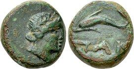 CIMMERIAN BOSPOROS. Pantikapaion. Ae (Circa 200-150 BC).