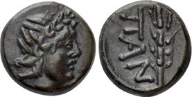 CIMMERIAN BOSPOROS. Pantikapaion. Ae (Circa 200-150 BC).