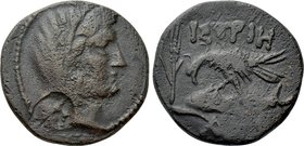 MOESIA. Istros. Ae (Circa 110-75/70 BC).