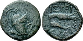 MOESIA. Istros. Ae (Circa 110-75/70 BC).