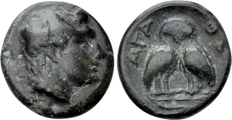 THRACE. Agathopolis. Ae (Circa 300 BC). 

Obv: Young male head with taenia rig...