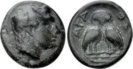 THRACE. Agathopolis. Ae (Circa 300 BC).