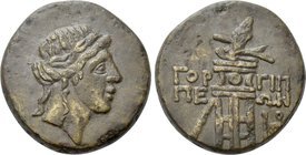 BOSPOROS. Gorgippia. Ae (Circa late 2nd-early 1st century BC).
