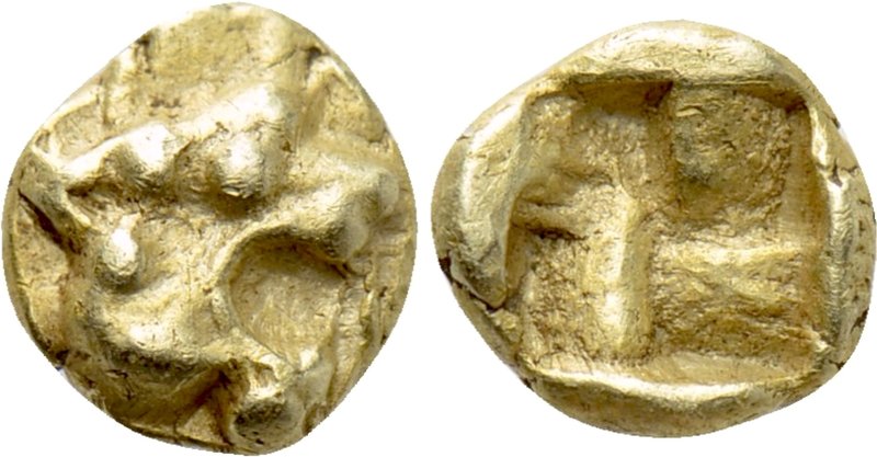 IONIA. Uncertain. EL 1/48 Stater (Circa 600-550 BC). 

Obv: Head of roaring li...