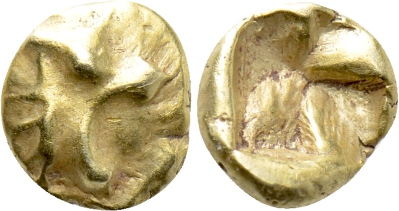 IONIA. Uncertain. EL 1/48 Stater (Circa 600-550 BC). 

Obv: Head of roaring li...