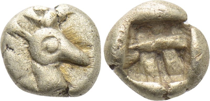 IONIA. Ephesos. Phanes (Circa 625-600 BC). EL 1/48 Stater. 

Obv: Head of stag...