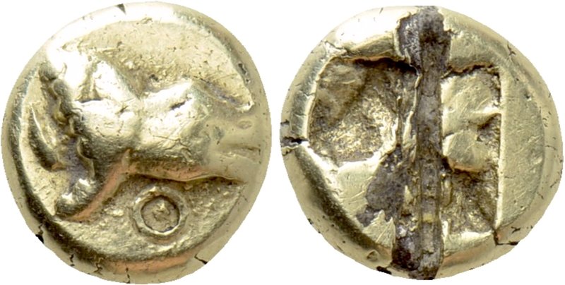 IONIA. Phokaia. Fourrée Hekte (Circa 625/0-522 BC). 

Obv: Protome of seal rig...