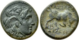 SELEUKID KINGDOM. Seleukos I Nikator (312-281 BC). Ae. Sardeis.