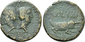 GAUL. Nemausus. Augustus with Agrippa (27 BC-14 AD). Ae As.