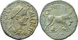 LYCAONIA. Iconium. Gallienus (253-268). Ae.