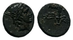Pontos. Amisos. Time of Mithradates VI Eupator circa 85-65 BC. Bronze 


Condition: Very Fine

Weight: 2.57 gr
Diameter: 14 mm
