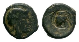 Greek Uncertain coin with Owl countermark on it,

Condition: Very Fine

Weight: 3.85 gr
Diameter: 15 mm